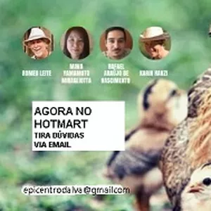 Imagem do curso Produção Orgânica de Ovos com Romeu Leite e convidados. 