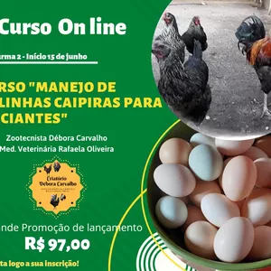 Imagem principal do produto CURSO CRIAÇÃO DE GALINHAS CAIPIRAS PARA INICIANTES 2.0