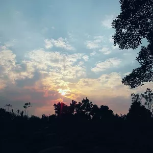 Imagen de portada para Curso online atardecer en la selva de perú