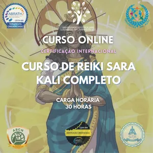 Imagem do curso 1.13 - CURSO DE REIKI SARA KALI