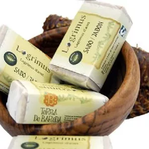 Imagen de portada para Ebook Jabon de resina