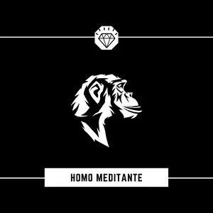 Imagem de capa para o Curso online Homo Meditante