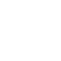 Rebel Soul Coaching logo
