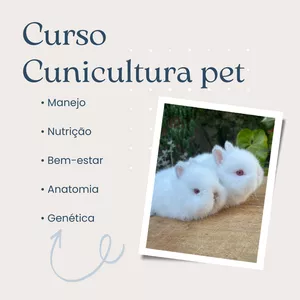 Imagem de capa para o Curso online Curso Cunicultura Pet
