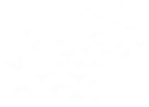Compassionate Self logo