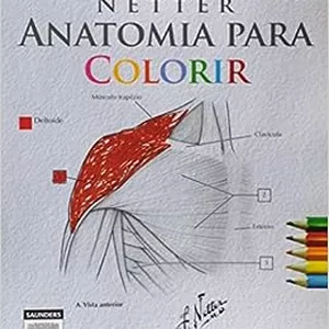 Imagem de capa para o Ebook Netter Anatomia para colorir PDF