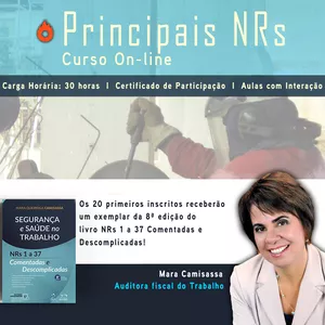 Imagem de capa para o Curso online Principais Nrs com Mara Camisassa