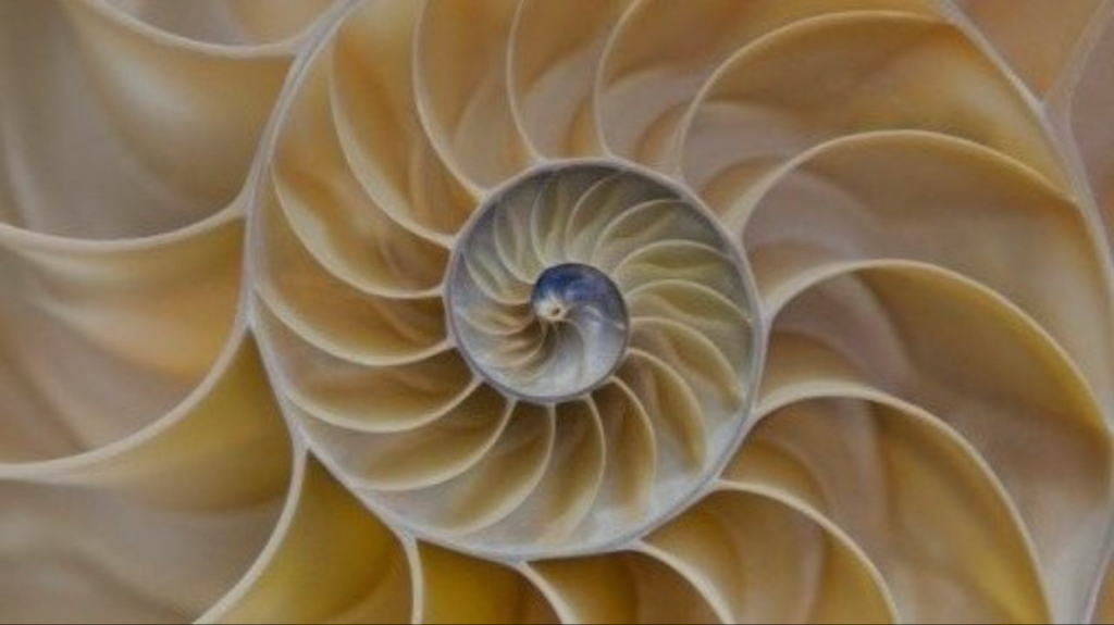 Meditación: Mindfulness Cuántico. Transforma tu Subconsciente + BONUS