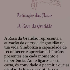 Imagem de capa para o Ebook Oráculo das Rosas 