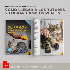 Imagen de portada para Ebook EBOOK: COMO LLEGAR A LOS TUTORES Y LOGRAR CAMBIOS REALES
