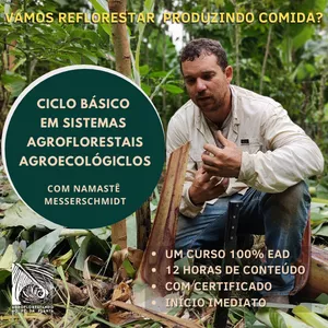 Imagem de Ciclo Básico - Introdução à Agrofloresta criado por Agroflorestando Ao Pé da Planta na hotmart