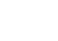 VuLingo
