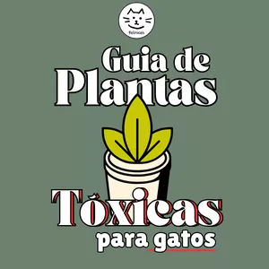Imagem de capa para o Ebook Guia de plantas tóxicas para gatos