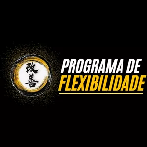 Imagem de capa para o Curso online Programa de Flexibilidade