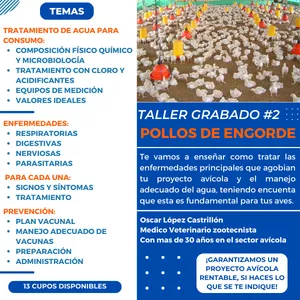 Imagen de portada para Evento online Taller Grabado #2 de Pollos de Engorde: Rentabilidad y Sostenibilidad en Tu Granja