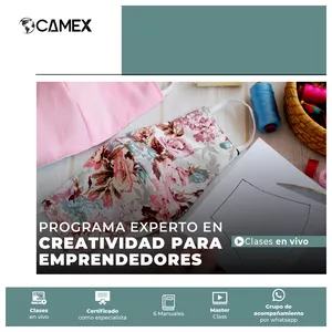 Imagen de portada para Curso online Programa Experto en Creatividad para Emprendedores