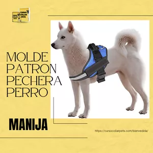 Imagen de portada para Curso online Molde Para Pechera de Perros (Manija) (De apoyo) 