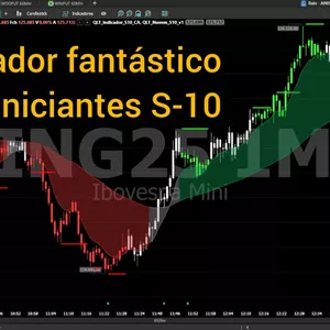 Imagem de capa para o Curso online Indicador S-10 mini índice 