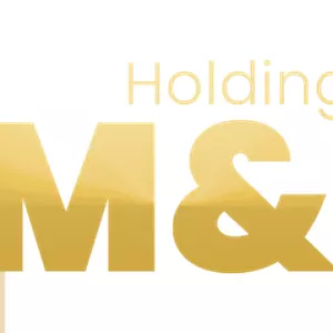 Imagem de capa para o Curso online Estrategista em Holding