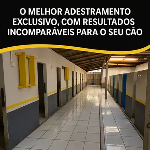 Imagem de capa para o Serviço online Adestramento 