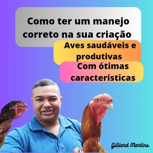 Imagem do curso Como criar galinha índio Gigante .