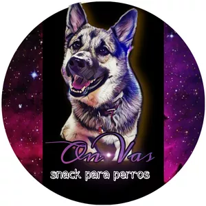 Imagen de portada para Curso online Curso de Pastelería Canina 