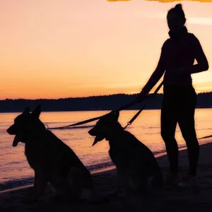 Imagen de portada para Ebook MARKETING EN LA INDUSTRIA DEL PETCARE CÓMO CONECTAR CON LOS PADRES DE MASCOTAS Y HACER CRECER TU NEGOCIO