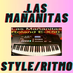 Imagen de portada para Curso online Las Mañanitas Roland E-x50