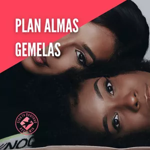 Imagen de portada para Curso online Plan Almas Gemelas