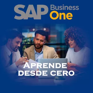 Imagen de portada para Curso online Aprende SAP Business One desde Cero