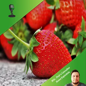 Imagem de Aprenda hormônios vegetais: Etileno o gás da maturação dos frutos (certificado de 04 horas) criado por AgroFlow Cursos na hotmart