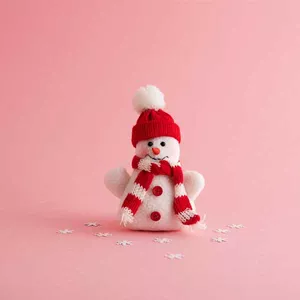 Imagem de capa para o Curso online Método Bola de Neve - Etapa 01