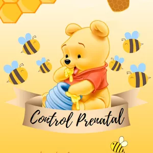 Imagen de portada para Ebook Libro de Control Prenatal