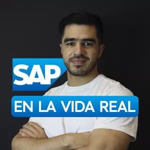 Imagen de portada para Curso online SAP Consultor desde cero: Formación profesional