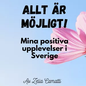 Cover image for Ebook Allt är möjligt!