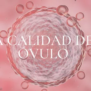 Imagen de portada para Curso online La calidad del óvulo