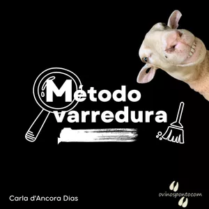 Imagem de capa para o Curso online Método Varredura