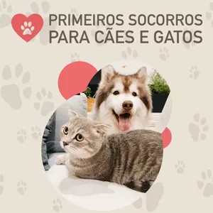 Imagem do curso Curso de Primeiros Socorros para Cães e Gatos
