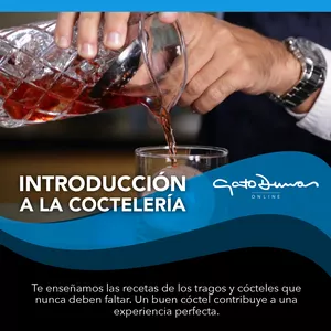 Imagem principal do produto Introducción A La Coctelería