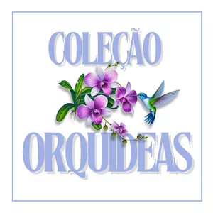 Imagem de capa para o Curso online COLEÇÃO ORQUÍDEAS