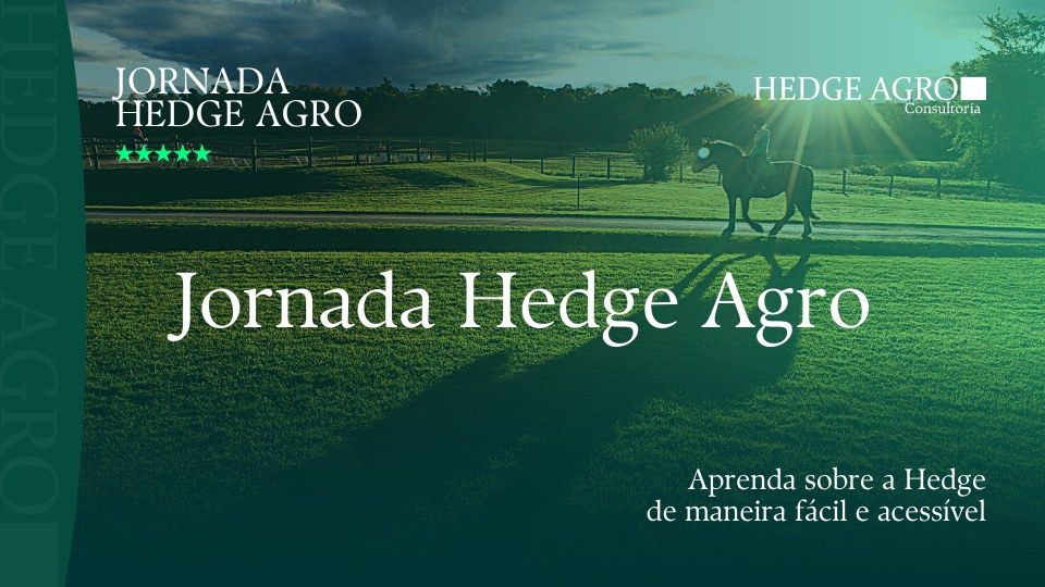 Imagem do curso Jornada Hedge Agro