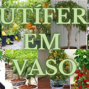 Imagem de capa para o Ebook ÁRVORES FRUTÍFERAS EM VASO