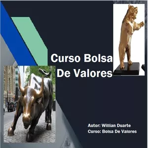 Imagem de capa para o Curso online Bolsa De Valores