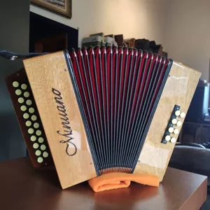 Imagem de capa para o Curso online Timbre de Galo (Gaita Ponto DÓ E SOL)