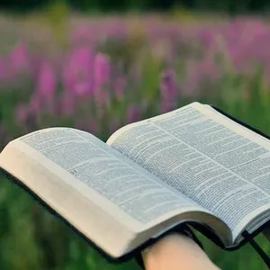 Imagem de capa para o Ebook Bíblia sagra