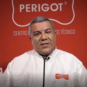 Imagem de capa para o Curso online Curso de Spitz Alemão