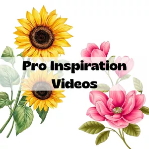 Cover image for Ebook Pro Inspiration Videos - One Stroke