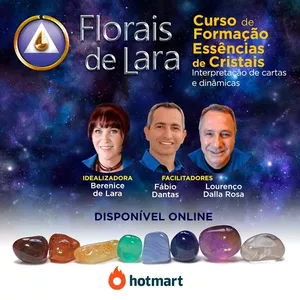 Imagem do curso CURSO FLORAIS DE LARA