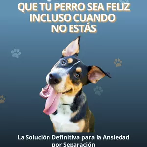 Imagen de portada para Ebook Cómo lograr que tu perro sea feliz incluso cuando no estás