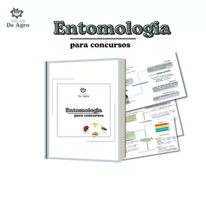 Imagem de capa para o Curso online Entomologia